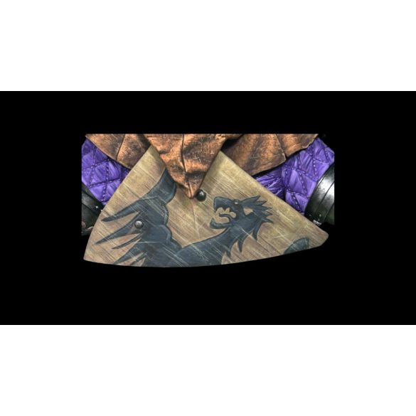 Bohemian knight 14th century