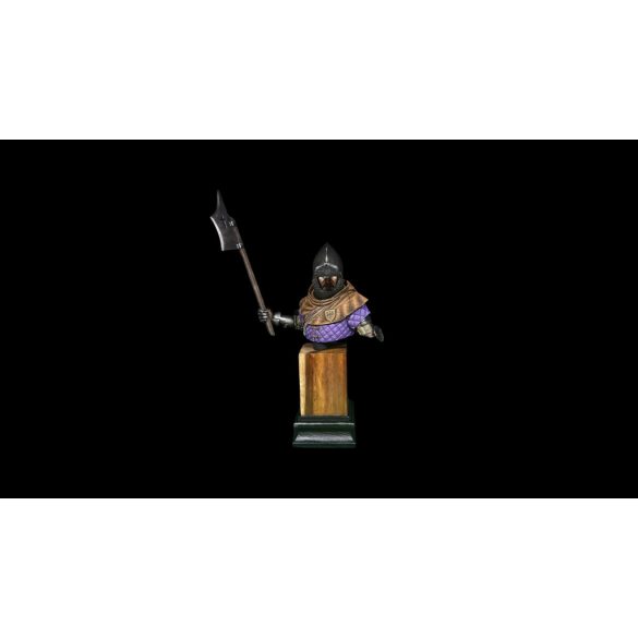 Bohemian knight 14th century