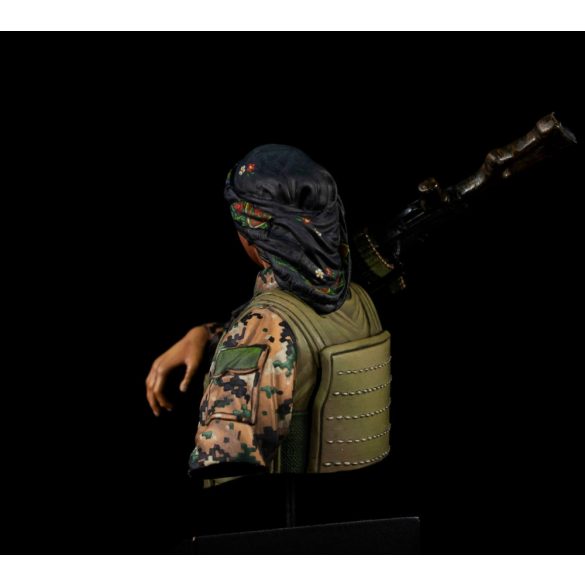 Syrian warrior