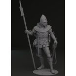 Bohemian knight 14th century