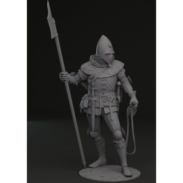 Bohemian knight 14th century