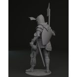 Bohemian knight 14th century