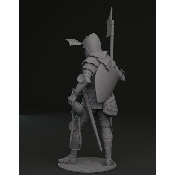 Bohemian knight 14th century