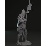 Bohemian knight 14th century
