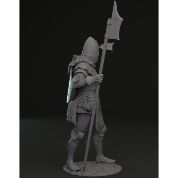 Bohemian knight 14th century