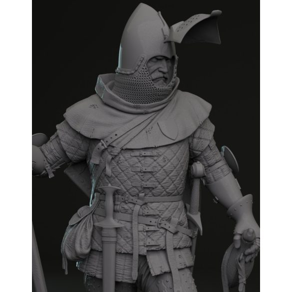 Bohemian knight 14th century